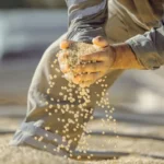 Fiagros - Oque são, como funcionam e como investir?