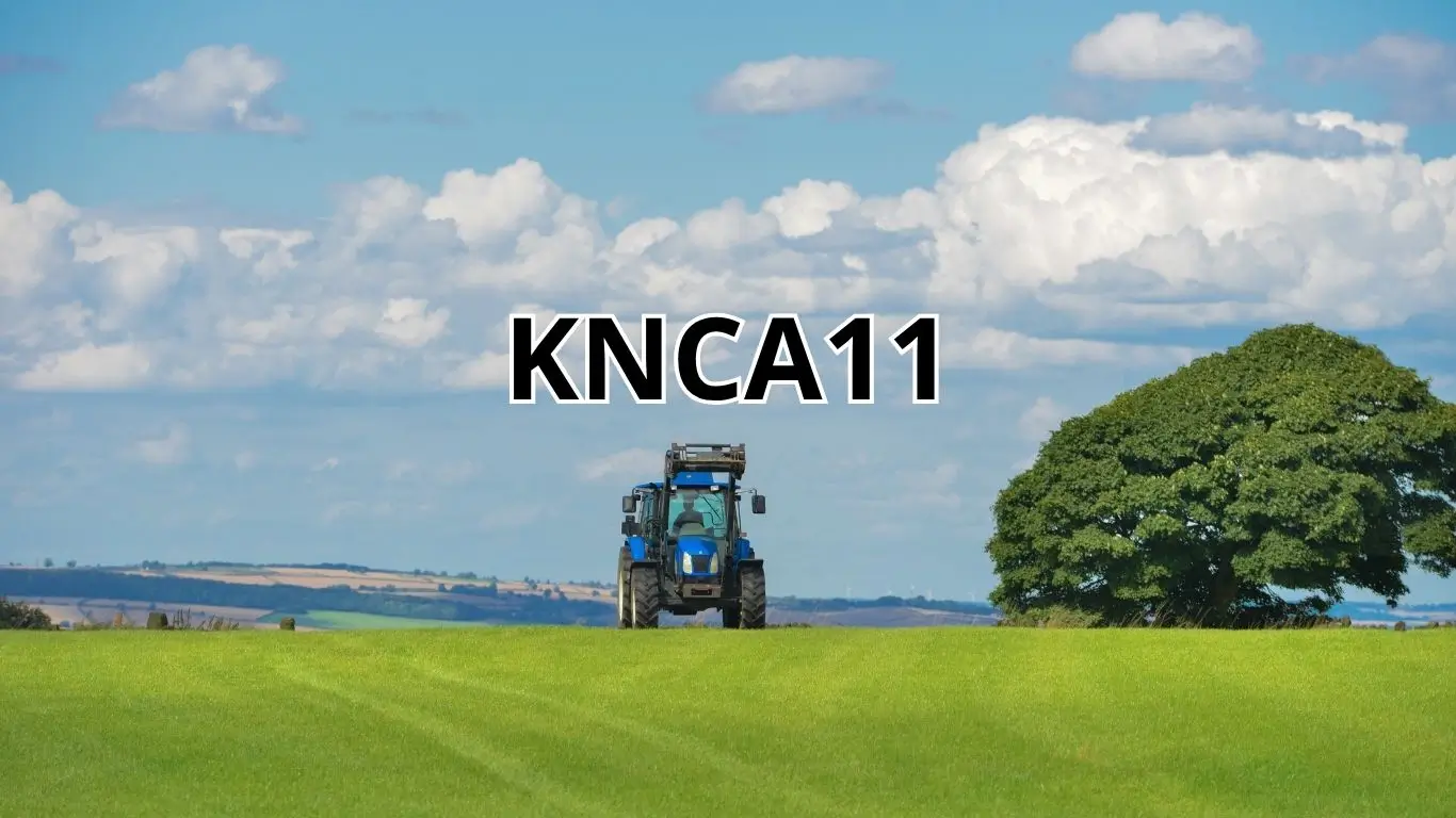 Vale a pena investir no KNCA11? Descubra!
