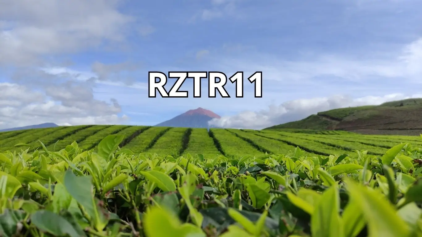 RZTR11 - RIZA TERRAX - FIAGRO