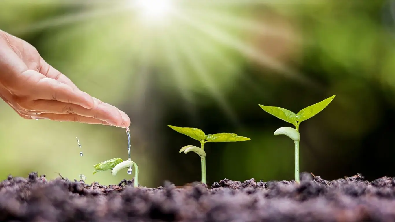 VGIA11: Valora Cra FI Cadeias Prod Agro FIAGRO Imobiliario - Vale a pena? Descubra!