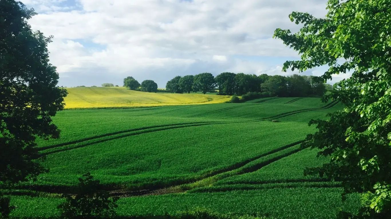 AGRO3 - Analisando as ações da brasilagro