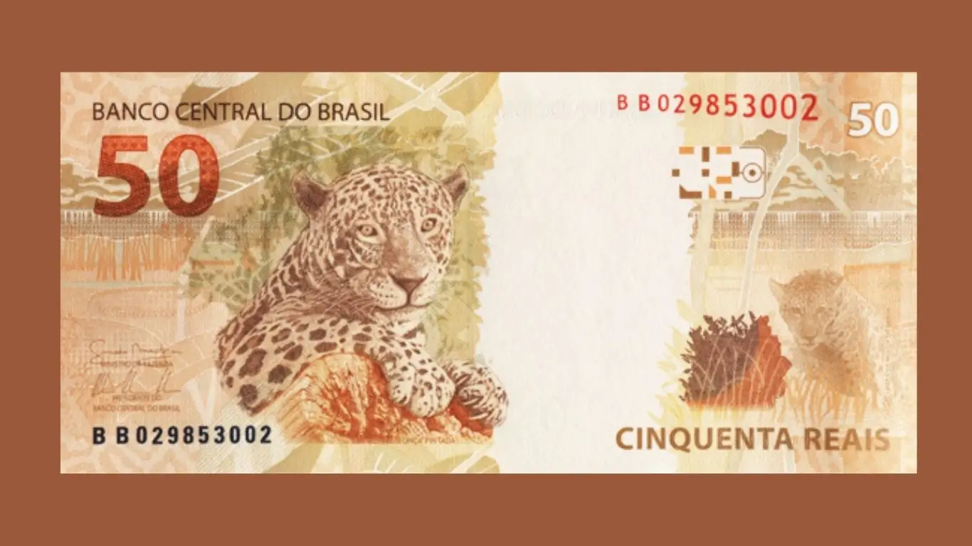 Como investir tendo apenas 50 Reais em 2025? Confira!