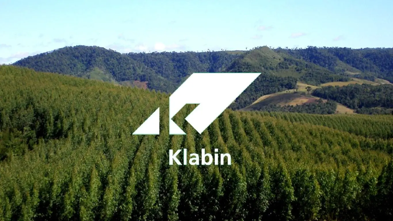 KLBN4 - Entenda oque está acontecendo com as ações da Klabin