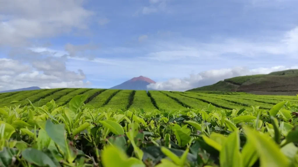 RZTR11 - RIZA TERRAX - FIAGRO