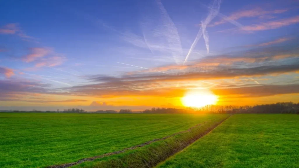 SNAG11 - Suno Agro - Fiagro Imobiliário - Atenção!