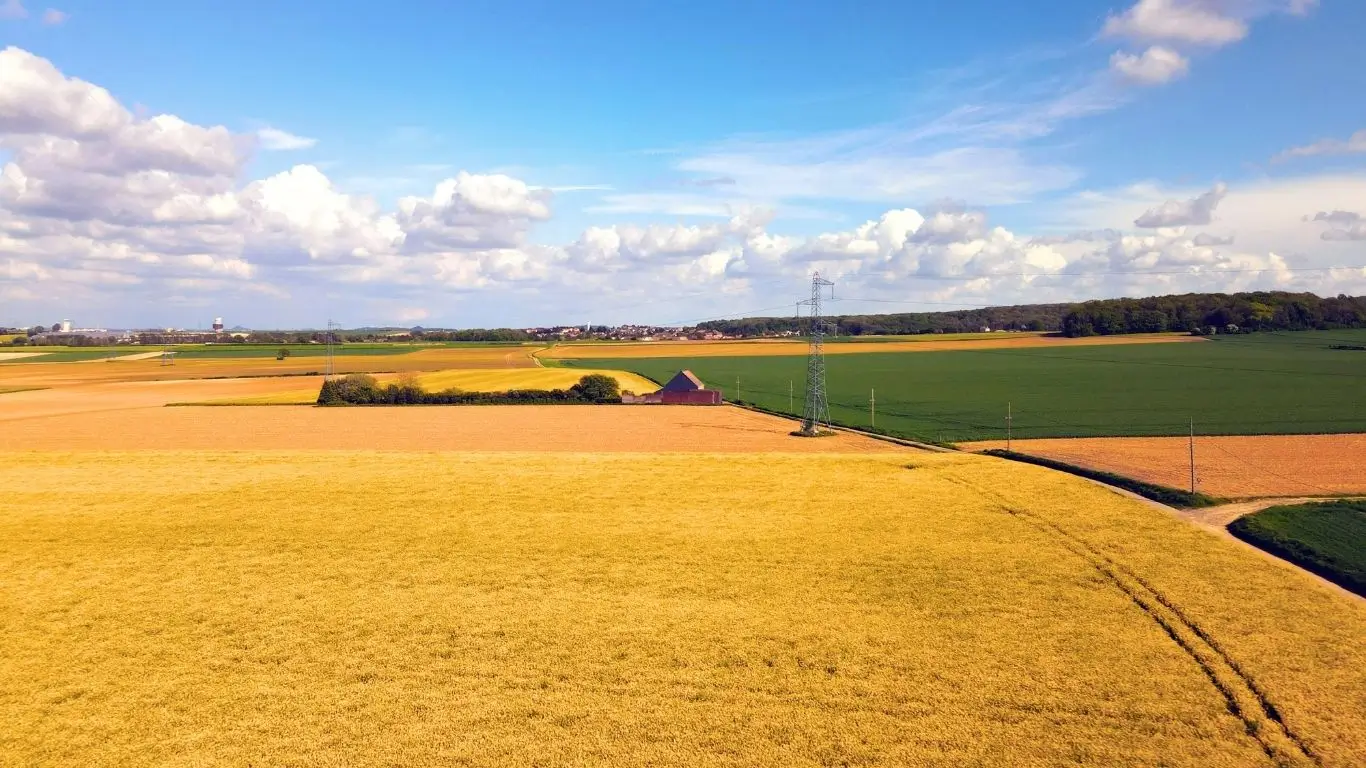 SNFZ11 Expande Portfólio no Mato Grosso com 2 Novas Aquisições!