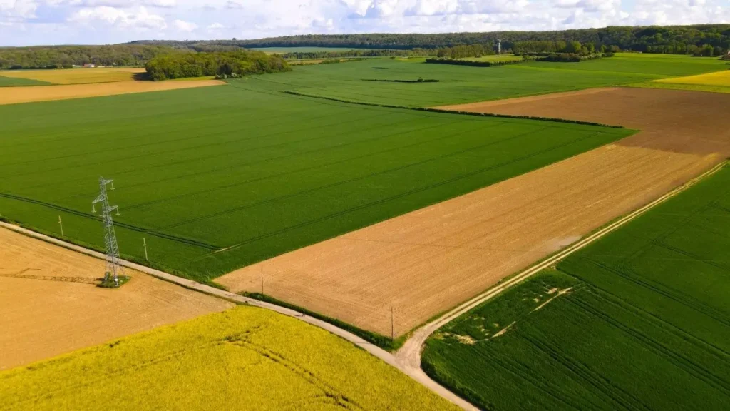 SNFZ11 Expande Portfólio no Mato Grosso com Novas Aquisições!