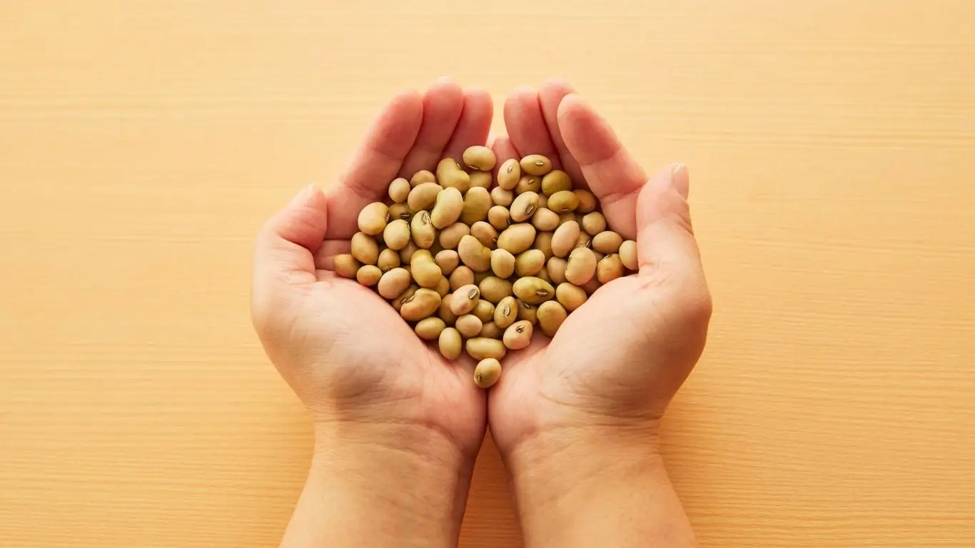 SOJA3 - Ações da Boa Safra Sementes- Entenda o case!