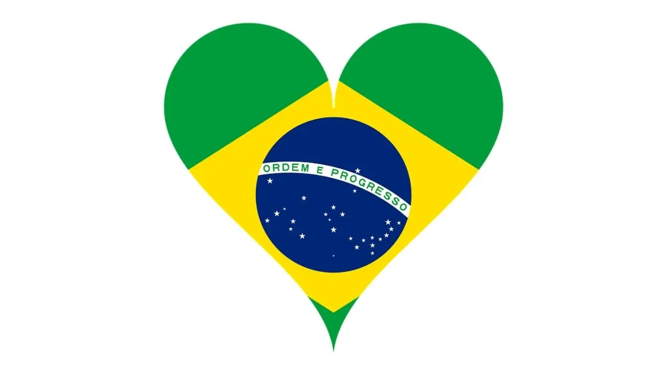 Tesouro Selic - Quem deve investir?