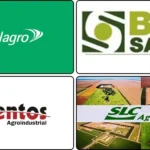 Agronegócio - SOJA3,TTEN3,AGRO3 ou SLCE3? Qual é a melhor ação do Agro da B3?
