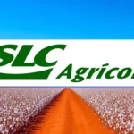 slce3 - slc Agrícola tudo sobre, o desempenho de 2025 até aqui.